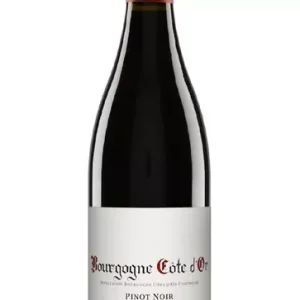 2022 Bourgogne Côte d'Or, Pinot Noir, Arnaud Baillot