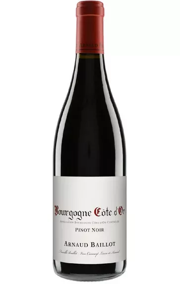 2022 Bourgogne Côte d'Or, Pinot Noir, Arnaud Baillot