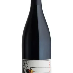 2023 Bourgueil, Jour de Soif, Domaine du Bel Air, Loire