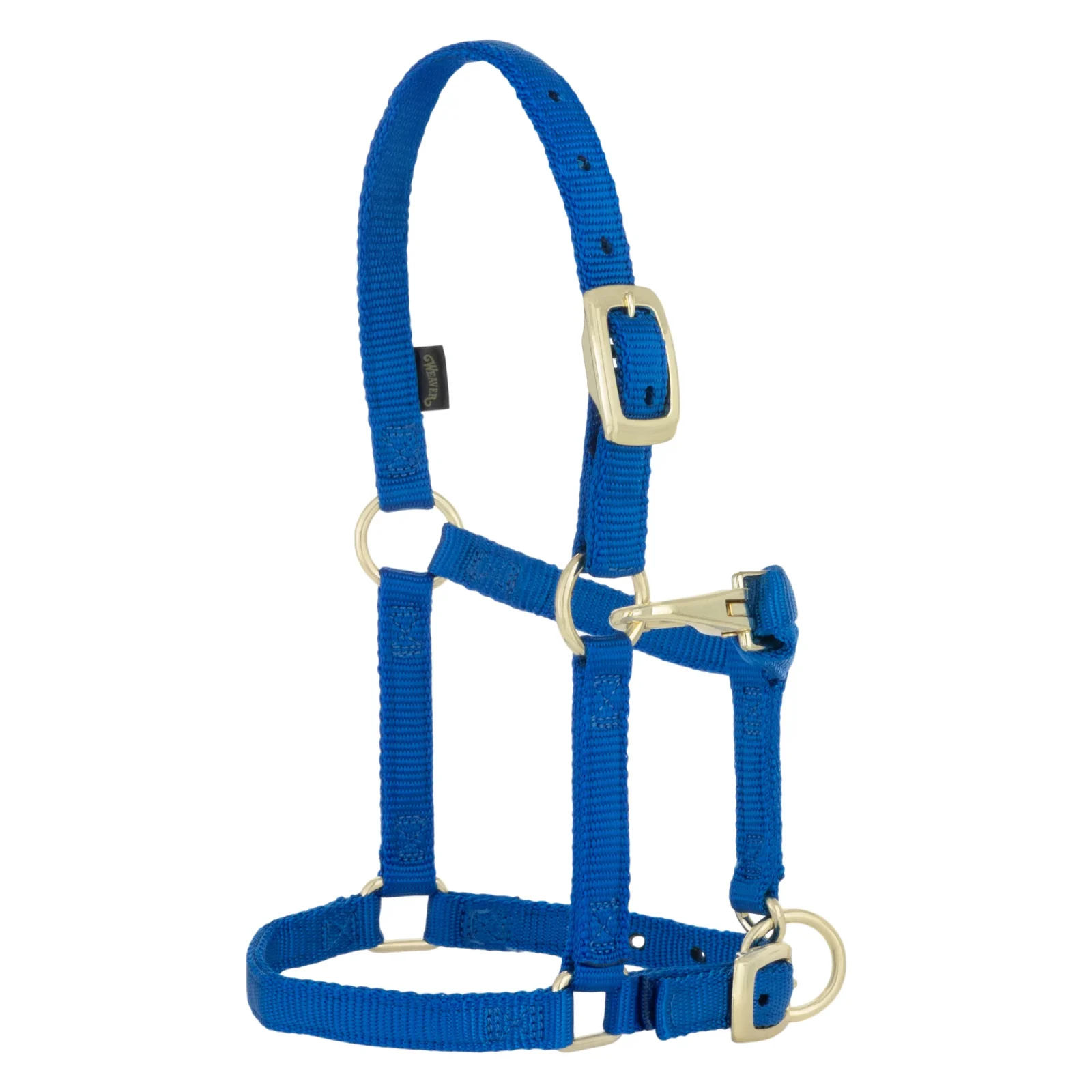 Miniature Horse Adjustable Chin & Throat Snap Halter - Image 2