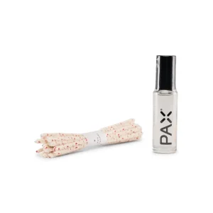 PAX Cleaning Kit