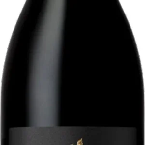 Raka Biography Shiraz 2022