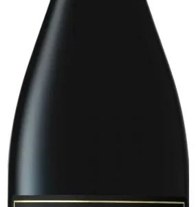Rijk's Pinotage Reserve 2021